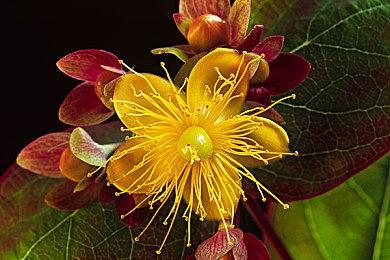 港服PS商店开启必备精选优惠 低至2折持续到3月29日